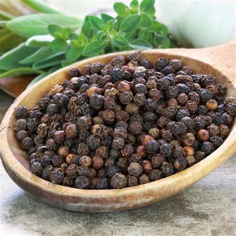 Piperine Black Pepper Extract At Rs 14000 Kilogram Piperine Extract In Indore Id 12928736288