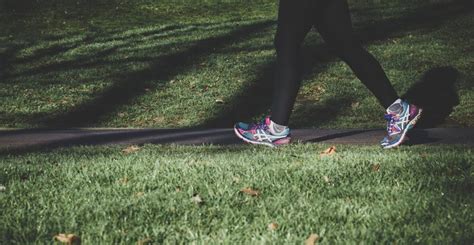 faster walkers        years longer study lifestyle