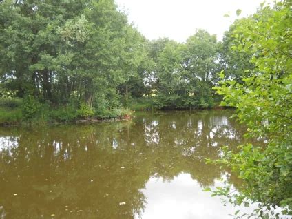 Poole Hall Fisheries Shropshire Day Ticket Lakes