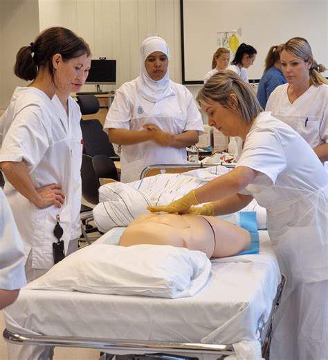 Kan Sykepleier Jobbe Som Helsesekretær