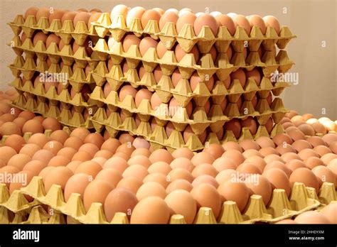 Fresh Eggs In The Egg Factory Egg Factory Industry Stock Photo Alamy