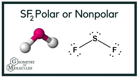 Sf2 polar or nonpolar - limfath