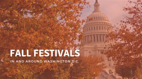 Washington DC Fall Festivals | Hirschfeld