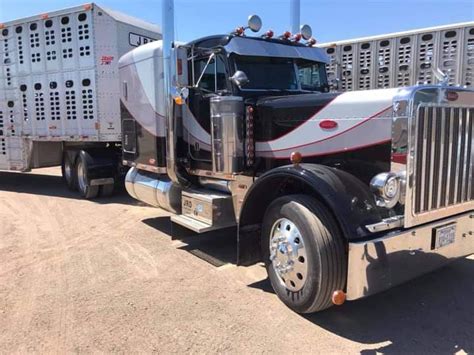 Pin By Nancy Renfro On Peterbilt Swoop Paint Scheme Paint Schemes