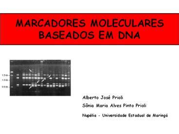 Ppt Marcadores Moleculares Baseados Em Dna Powerpoint Presentation