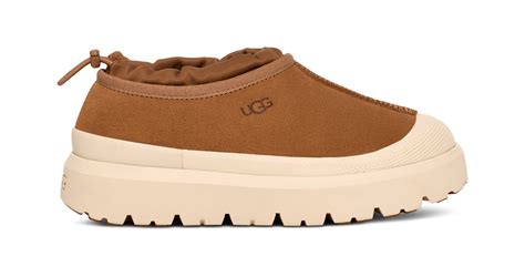 Men's Tasman Weather Hybrid Slipper | UGG®