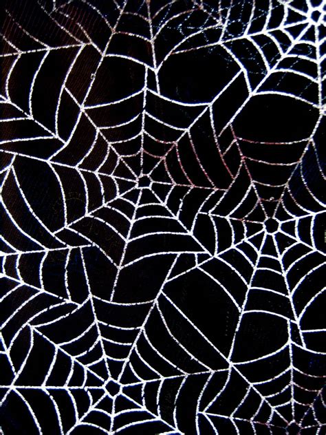 Cobwebs by Cynnalia-Stock on DeviantArt