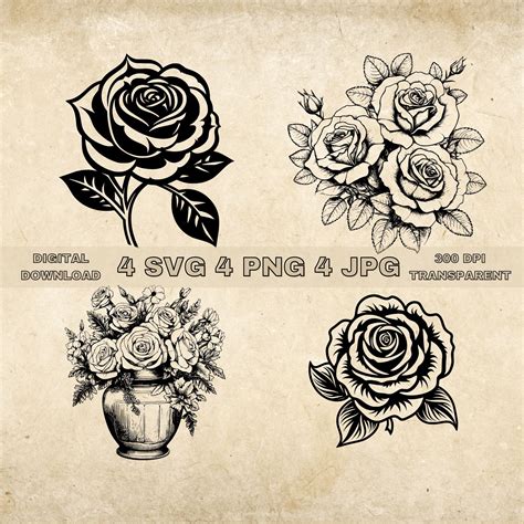 Rose Svg Bundle Png Rose Flower Clipart Cut Files Floral Botanical