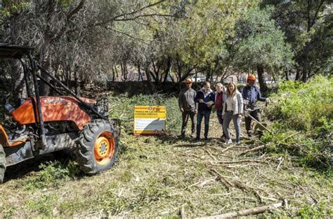 Tarragona Inicia Els Treballs Forestals De Neteja De Franges Contra