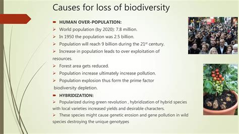 Threats To Biodiversity Ppt