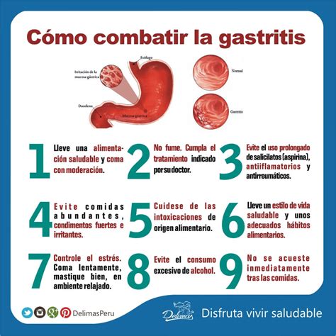 Dieta Para La Gastritis Recomendaciones Alimentarias Blog Vive Sano