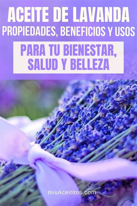 El Aceite De Lavanda Es El Aliado Para Tu Salud Bienestar Y Belleza