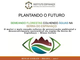 Projeto Plantando O Futuro Instituto Espinha O Ppt