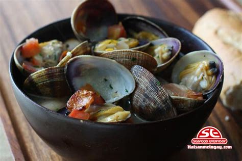 ngao chot hai san moi ngay