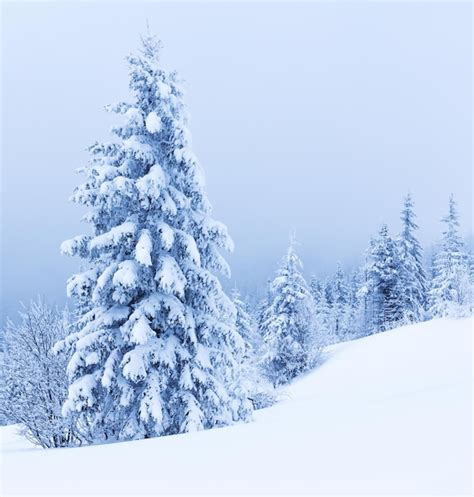 Espléndido paisaje alpino en invierno fantástica mañana helada en un