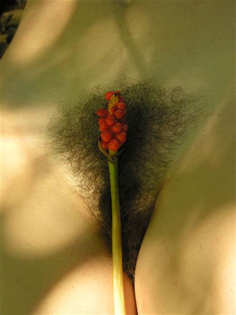 Photographer Joseph Auquier Nude Art And Photography At Model Society