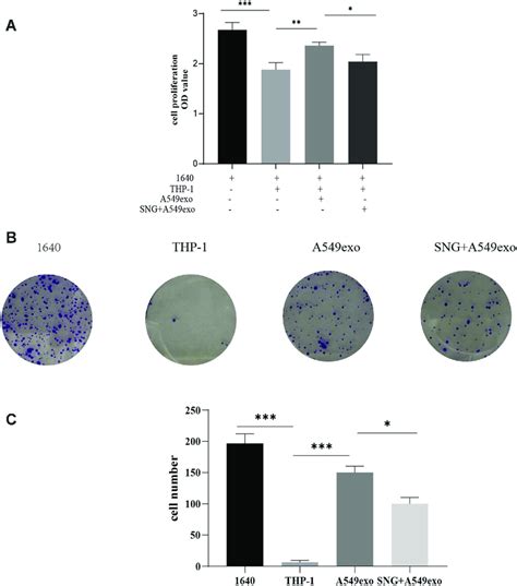 A Cck Assay Was Utilized To Detect A Cells Growth B C Cell