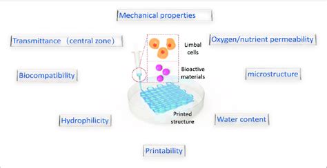 Desired Properties Of Bioinks For Cornea Limbal Regeneration