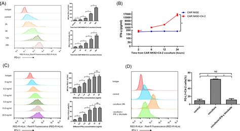 Combined Treatment With Anti‐psma Car Nk‐92 Cell And Anti‐pd‐l1