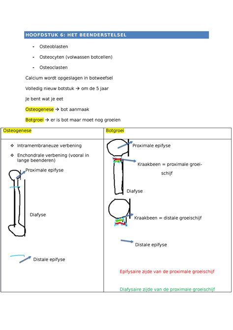 Af Key Points Het Beenderstelsel Hoofdstuk Het