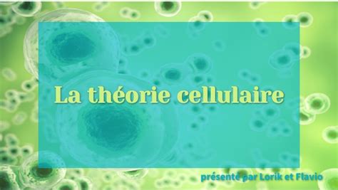 Theorie Cellulaire