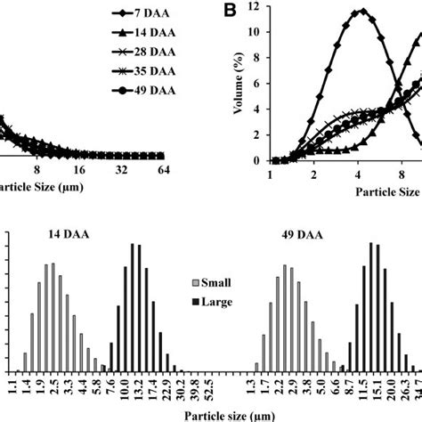 Size Distribution Of Starch Granules From Developing Wheat Endosperm