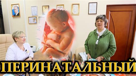 Марина Зайцева и новые материалы в перинатальном центре - YouTube