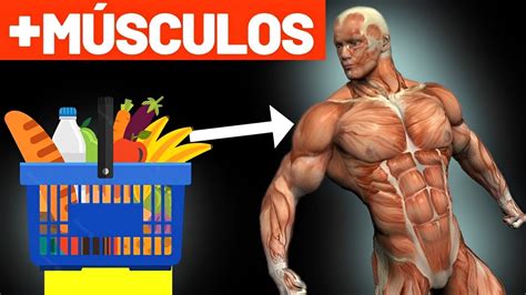 Quais melhores alimentos para construir musculos MAIS MÚSCULOS MAIS