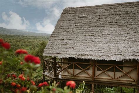 Rhotia Valley Tented Lodge Safarireiser No