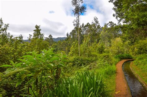 EASY Levada Walk in Madeira | Levada do Rei (+ TOP TIPS) - Becky the ...