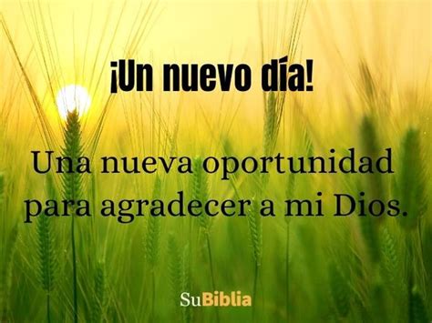 Lindas Frases De Agradecimiento A Dios Biblia