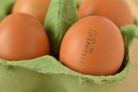 ¿es Seguro Comer Alimentos Caducados La Verdad Sobre Las Fechas De Caducidad