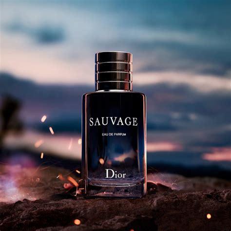 Best Dior Sauvage Dupes 2024 Must Try List