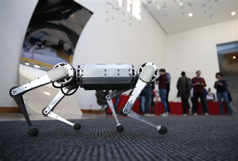 Watch Mits New ‘mini Cheetah Robots In Action The Boston Globe