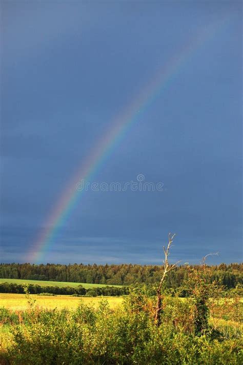 Rainbow in the sky stock image. Image of beauty, nobody - 2767403