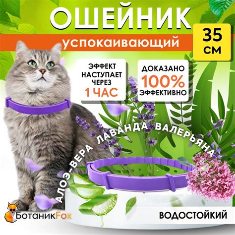 Ошейник Для Кошек Успокоительный – купить в интернет-магазине OZON по ...
