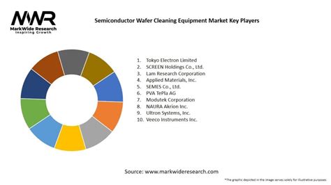 Semiconductor Wafer Cleaning Equipment Market Size Share