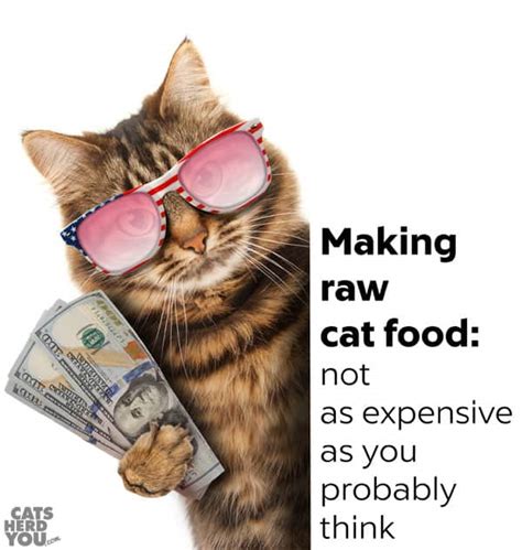 Raw Cat Food: Not as Expensive as You Think - Cats Herd You