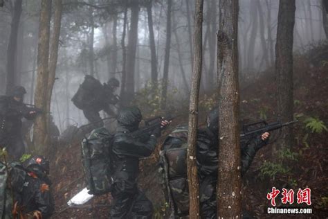 浙江丽水武警官兵开启“魔鬼周”极限特训 图片频道 人民网