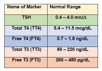 Tsh Levels Chart For Men