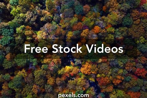 Forest Drone Videos, Download The BEST Free 4k Stock Video Footage ...