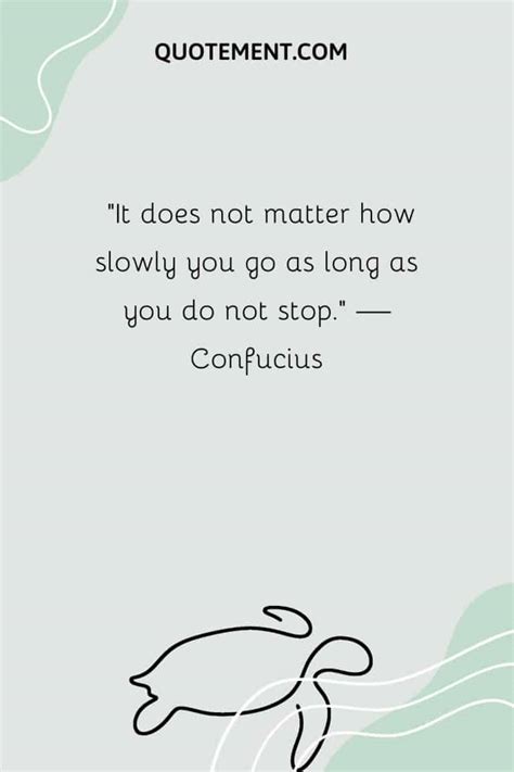 110 Turtle Quotes For Your Daily Dose Of Inspiration