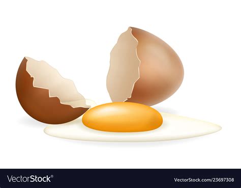 Broken Eggs Cracked Open White Yolk Easter Vector Image