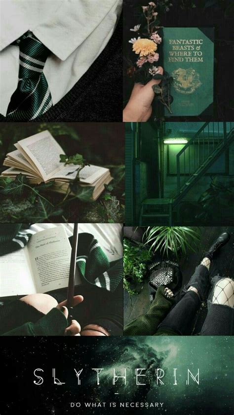 Эстетика слизерина | Slytherin, Slytherin wallpaper, Harry potter wallpaper