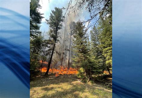 Bcws Reports No Considerable Growth For Rossmoore Fire Despite Friday