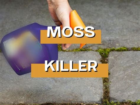 How To Remove Moss From Tarmac Driveways The Absolute Guide