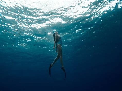 Cancun Snorkeling Tours Dive Into Paradise Cancun Airport Blog