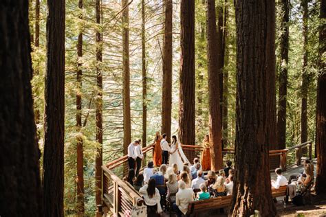 Hoyt Arboretum Redwood Deck Wedding Jess Woodhouse