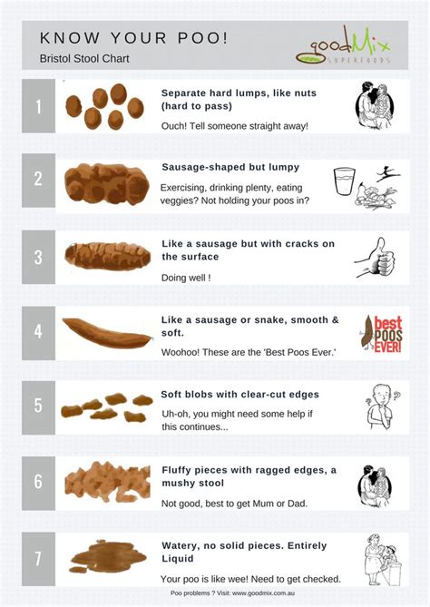 What Is The Bristol Stool Chart Is My Poo Normal Stool Chart Shows