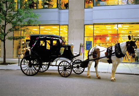Carriage | Horse-drawn, Wheels, Axles | Britannica